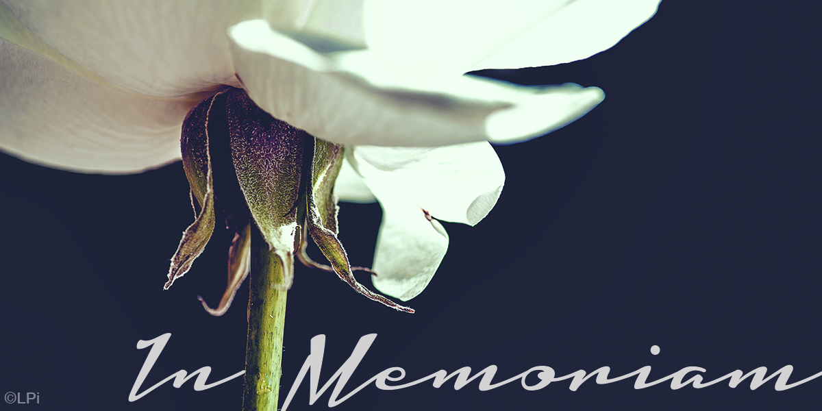 Funeral for Derek Hamm: Monday, October 12